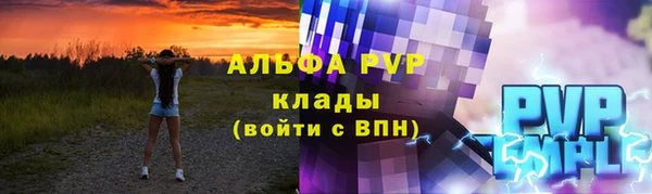 амф Новодвинск