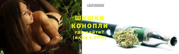 амф Новодвинск