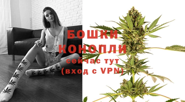 прущие грибы Зерноград