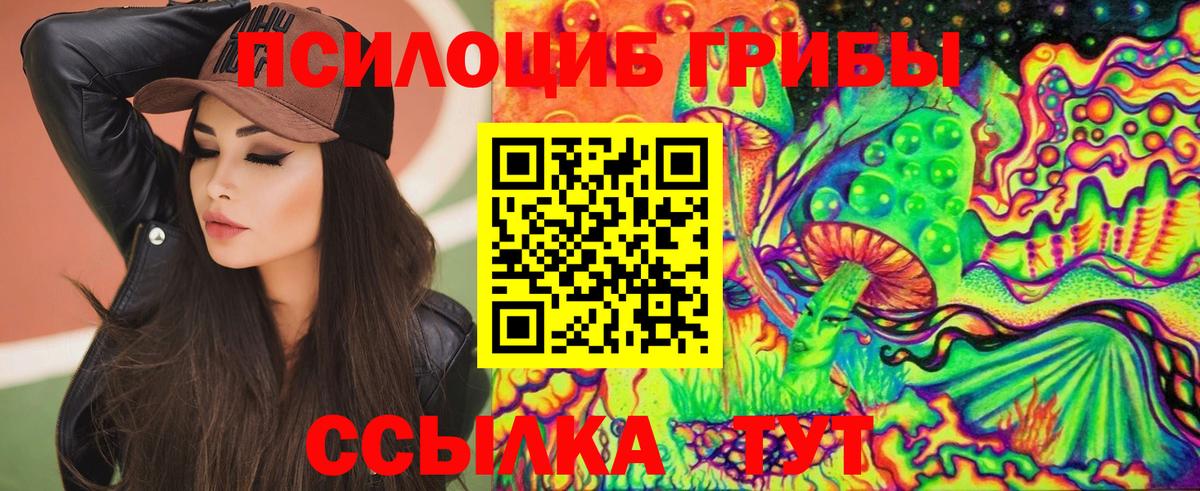 Псилоцибиновые грибы Cubensis  Вход с VPN  продажа наркотиков  Шумерля 