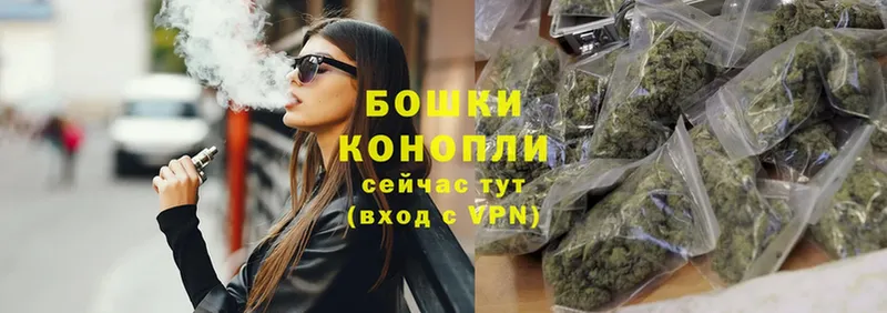 Бошки марихуана THC 21%  Шумерля 